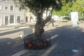 Local - Homenagem a José Saramago - Santa Maria Maior| Lisboa| Área Metropolitana de Lisboa