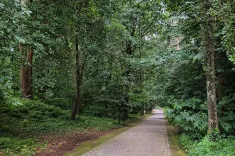 Local - Fundação de Serralves - Porto| Porto| Área Metropolitana do Porto