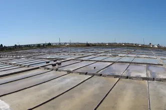 Local - Salinas de Aveiro - Aveiro| Aveiro| Região de Aveiro