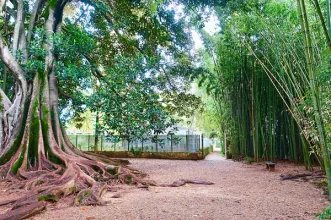Local - Quinta das Lágrimas - Coimbra| Coimbra| Região de Coimbra