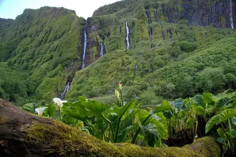 Local - Poço da Ribeira do Ferreiro (Poço da Alagoinha) - Freguesia da Fajã Grande| Lajes Das Flores| Região Autónoma dos Açores