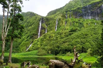 Local - Poço da Ribeira do Ferreiro (Poço da Alagoinha) - Freguesia da Fajã Grande| Lajes Das Flores| Região Autónoma dos Açores