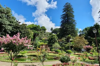 Local - Jardim Duque da Terceira  - Angra do Heroísmo| Angra do Heroísmo| Região Autónoma dos Açores