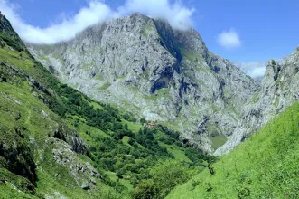 Local - Bulnes - Cabrales| Asturias