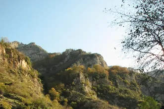 Local - Desfiladeiro de los Beyos - Amieva| Asturias