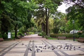Local - Jardim Guerra Junqueiro (Jardim da Estrela)  - Estrela| Lisboa| Área Metropolitana de Lisboa