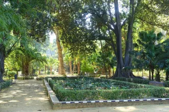 Local - Parque Maria Luísa - Sevilla| Sevilla