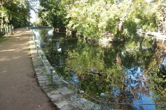 Local - Carmen de los Mártires - Granada| Granada