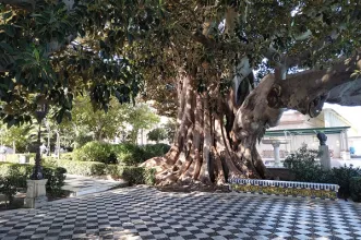Local - Jardins da Alameda Apodaca - Cádiz| Cádiz