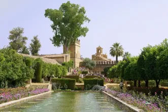 Local - Alcazar de los Reyes Cristianos - Córdoba| Córdoba