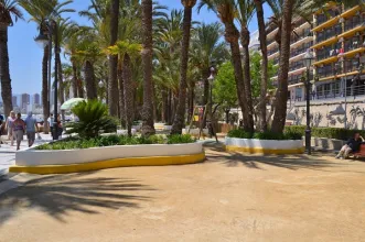 Local - Parque de Elche - Benidorm| Alicante/Alacant