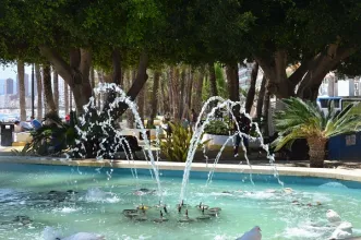 Local - Parque de Elche - Benidorm| Alicante/Alacant