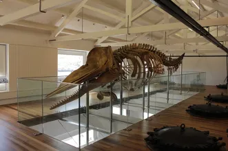 Local - Fábrica da Baleia de Porto Pim  - Horta| Horta| Região Autónoma dos Açores