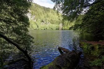 Point d´intérêt - Lagoa do Congro - Água de Pau| Vila Franca do Campo| Região Autónoma dos Açores