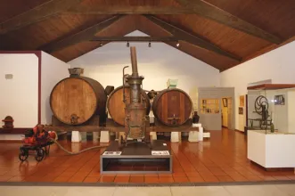 Local - Museu Rural e do Vinho do Cartaxo - Cartaxo | Cartaxo| Lezíria do Tejo