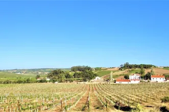 Local - Carvoeira e Carmões - Carvoeira | União de Freguesias de Carvoeira e Carmões| Torres Vedras| Oeste