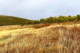 Local - Vale de Ramiro - Aveleda| Bragança| Terras de Trás-os-Montes