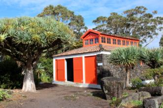 Local - Museu do Vinho  - Toledos| Madalena| Região Autónoma dos Açores