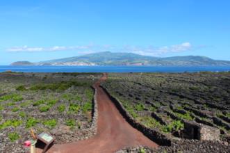 Local - Paisagem da Cultura da Vinha da Ilha do Pico  - Lajido da Criação Velha| Madalena| Região Autónoma dos Açores