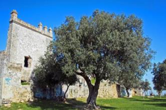 Local - Castelo de Pirescouxe - Santa Iria de Azóia| Loures| Área Metropolitana de Lisboa