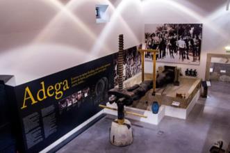 Local - Museu do Vinho e da Vinha - Bucelas| Loures| Área Metropolitana de Lisboa