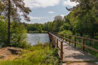 Local - Lagoa do Alvão - Afonsim| Vila Pouca de Aguiar| Alto Tâmega