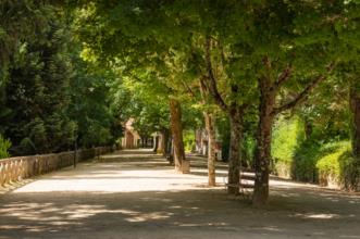 Local - Parque Termal de Pedras Salgadas - Bornes de Aguiar| Vila Pouca de Aguiar| Alto Tâmega