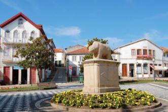 Local - Porca de Murça - Murça| Murça| Douro