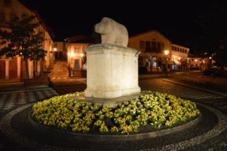 Local - Porca de Murça - Murça| Murça| Douro