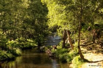 Local - Ponte e Calçada Romana  - Murça| Murça| Douro