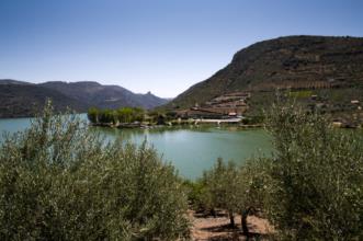 Ponto de Interesse - Praia Fluvial da Congida - Freixo de Espada À Cinta| Freixo de Espada À Cinta| Douro