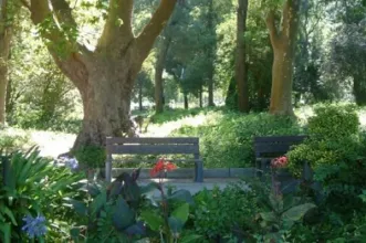 Local - Parque Municipal Carlos Hidalgo Gomes de Loureiro - Montijo| Montijo| Área Metropolitana de Lisboa