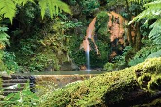Local - Centro de Interpretação Ambiental da Caldeira Velha  - Ribeira Grande| Ribeira Grande| Região Autónoma dos Açores
