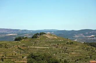Local - Miradouro de São Pedro de Fontes - Fontes| Santa Marta de Penaguião| Douro