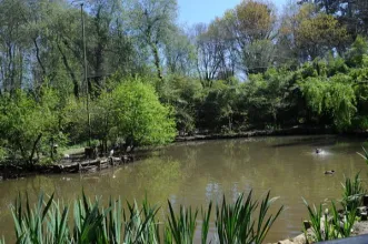 Local - Parque Biológico de Gaia - Avintes| Vila Nova de Gaia| Área Metropolitana do Porto