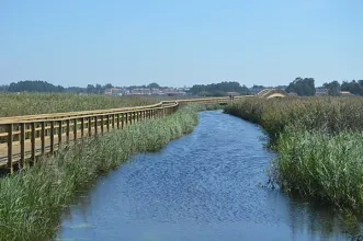 Local - Lagoa de Paramos - Observatório de Aves - Paramos| Espinho| Área Metropolitana do Porto