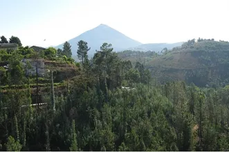 Local - Ponte de Matamá - Veade| Celorico de Basto| Tâmega e Sousa
