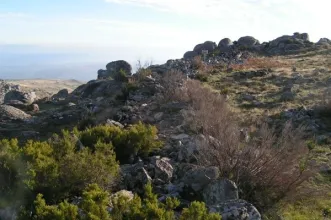 Local - Muralha das Portas - Alhões| Cinfães| Tâmega e Sousa