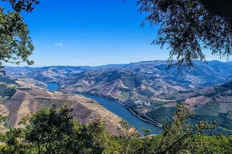 Local - Miradouro de São Leonardo - Galafura| Peso da Régua| Douro
