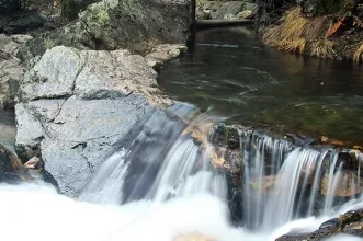 Local - Praia Fluvial Fragas de São Simão - Fragas de São Simão| Figueiró Dos Vinhos| Região de Leiria