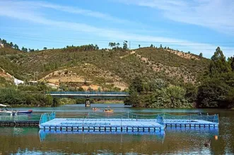 Local - Praia Fluvial de Ortiga - Ortiga| Mação| Médio Tejo