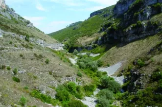 Local - Vale do Poio Novo - Poios| Pombal| Região de Leiria