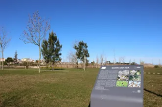Local - Quinta do Ega - Vagos| Vagos| Região de Aveiro