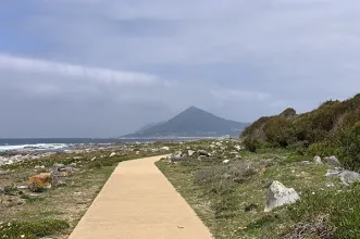 Local - Praia de Moledo  - Caminha| Alto Minho