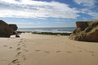Local - Praia da Galé - Albufeira| Algarve
