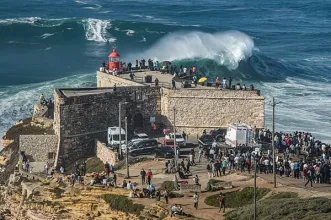 Local - Praia do Norte (Nazaré) - Nazaré| Oeste