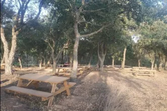 Local - Parque de Merendas do Ecoparque Serra de São Julião - Carvoeira | União de Freguesias de Carvoeira e Carmões| Torres Vedras| Oeste