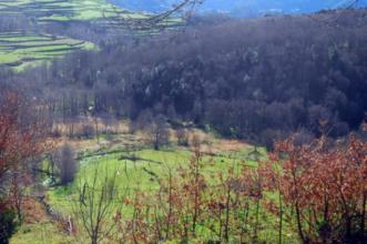 Route - GR 34 Etapa 2 – Cutelo – Vilarinho da Furna - Cutelo