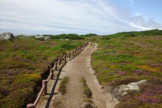 Rota - PR7 Trilho Forte do Paçô - Montedor