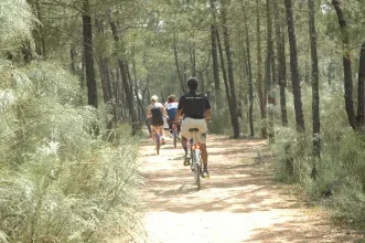 Rota - Percurso da Mata de VRSA + Saúde - Vila Real de Santo António